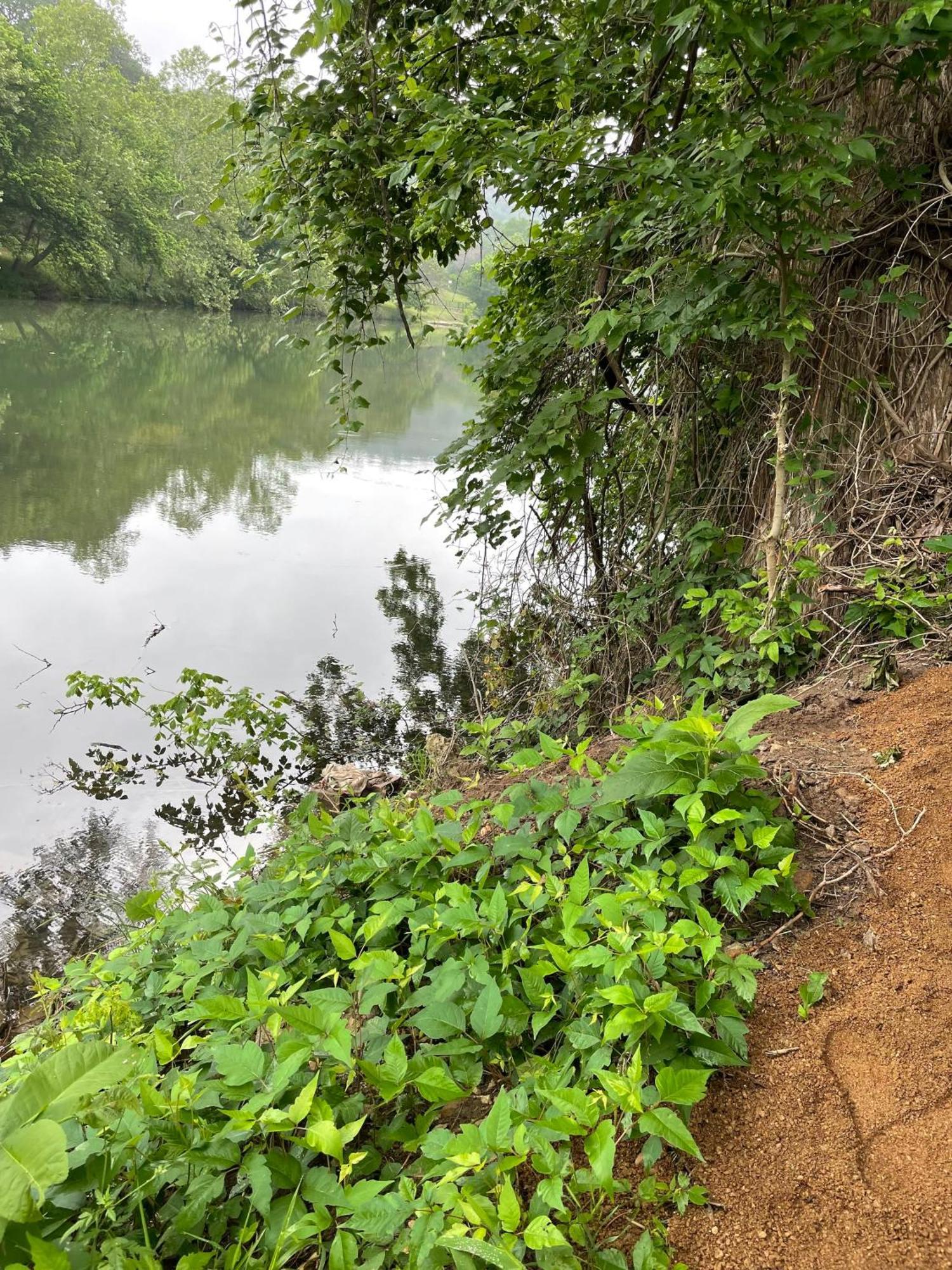 Pet Friendly Tiny House Rental With New Access To Guadalupe River Nbtx New Braunfels Zewnętrze zdjęcie