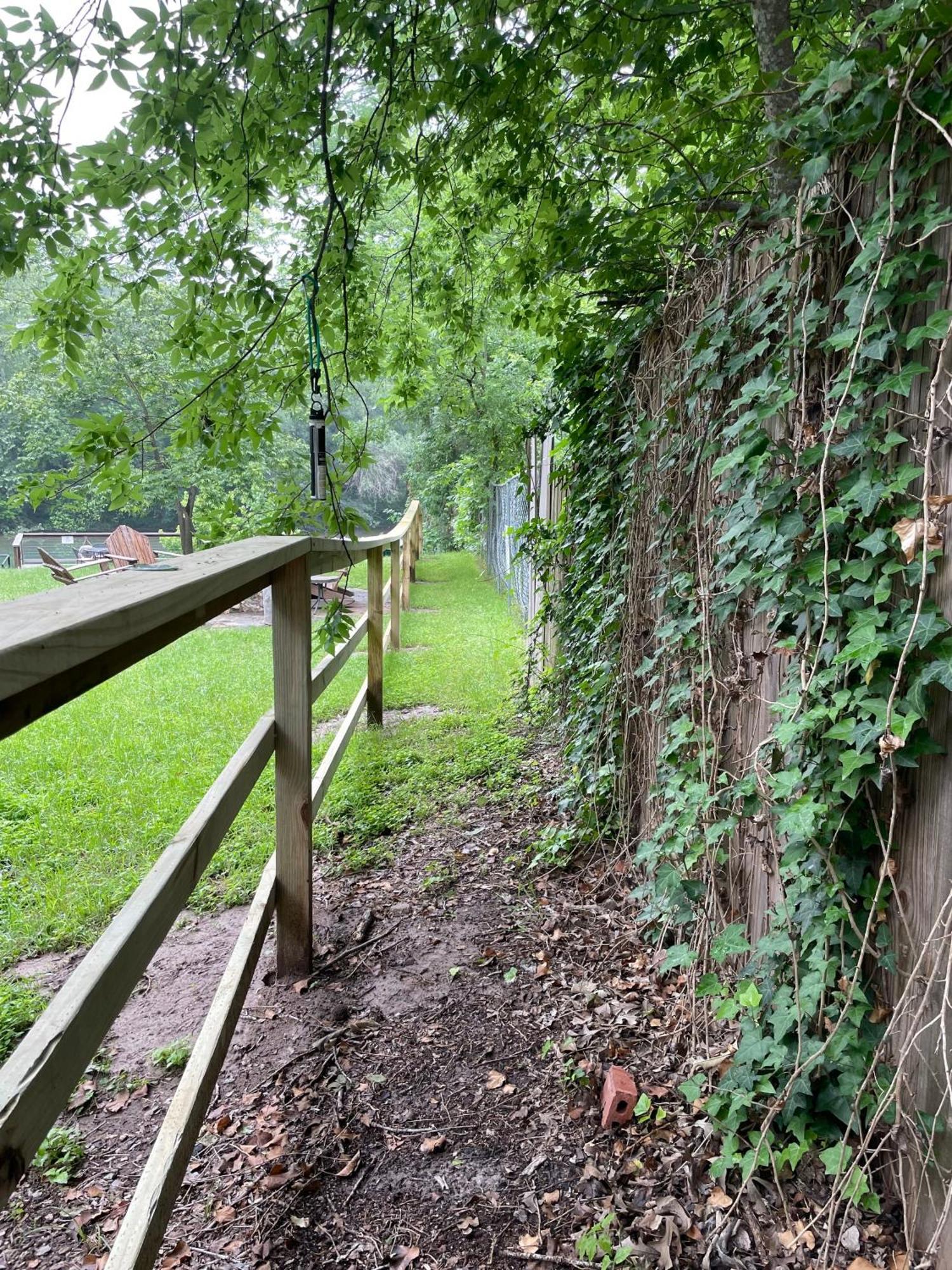 Pet Friendly Tiny House Rental With New Access To Guadalupe River Nbtx New Braunfels Zewnętrze zdjęcie