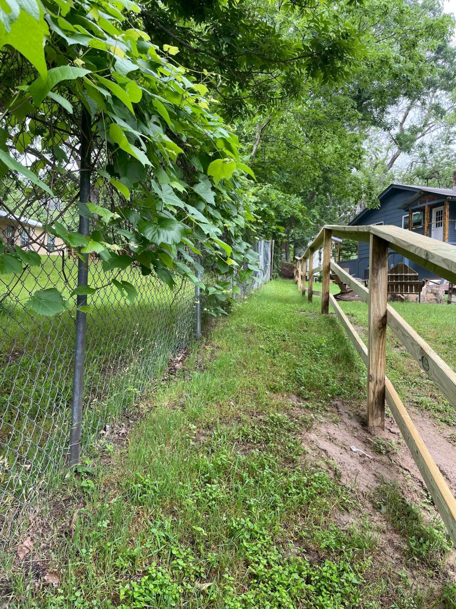 Pet Friendly Tiny House Rental With New Access To Guadalupe River Nbtx New Braunfels Zewnętrze zdjęcie